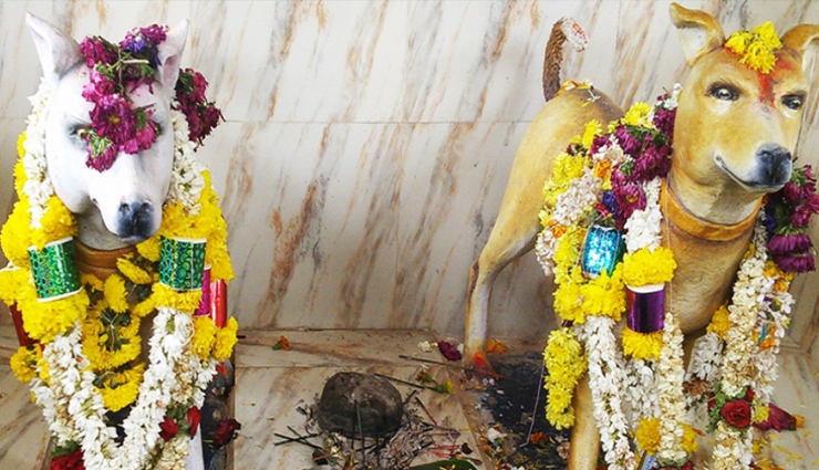 Photo of जानिए ये अनोखे मंदिर जहां देवी-देवता नहीं बल्कि  जानवरों की जाती है पूजा