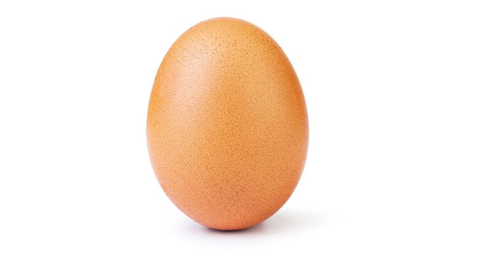 Photo of सिर्फ एक अंडे की तस्वीर ने दुनियाभर में मचाया  तहलका, पढ़े पूरी खबर