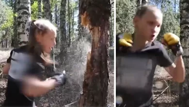 Photo of रूस के वोरोनज़ेह की एक 12 वर्षीय लड़की ने सिर्फ मुक्का मारकर कुछ ही सेकंडों में पेड़ को किया नष्ट….