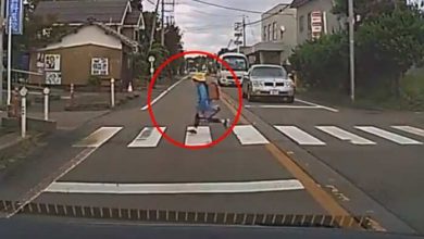 Photo of Video: बच्ची के रोड क्रॉस करने पर रुक गया ट्रैफिक, फिर उसने जो किया वो दिल जीत लिया