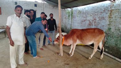 Photo of बाराबंकी: बजरंग दल के कार्यकर्ताओं ने की गौ माता की पूजा अर्चना