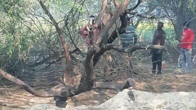 Photo of बाराबंकी : सरकारी भूमि पर लगे पेड़ो को ग्रामीणों ने जबरन काटा