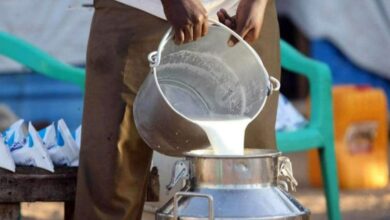 Photo of दूध के नाम पर बिक रहा है पानी, खाद्य सुरक्षा विभाग की चल रही है मनमानी, लाखों रुपए महीने की हो रही है अवैध उगाही