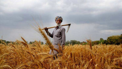Photo of पीलीभीत : अब किसानों को खुद बचानी होगी अपनी गेहूं की फसल