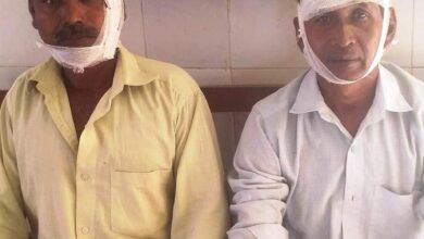Photo of कुशीनगर : खेत में काम कर रहे किसानों पर तेंदुआ ने किया हमला, दो लोग घायल