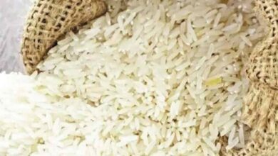 Photo of सरकार ने 1.43 लाख टन गैर-बासमती सफेद चावल के निर्यात को दी मंजूरी