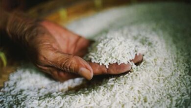 Photo of देश में 12 साल के रिकॉर्ड स्तर पर पहुंची चावल की कीमत, पढ़ें पूरी रिपोर्ट