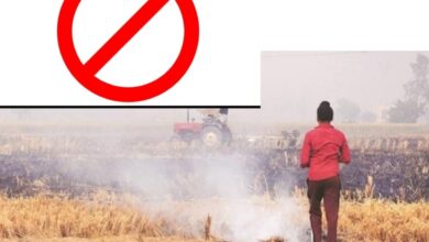 Photo of बहराइच : पर्यावरण संरक्षण के लिए खेतों में पराली न जलाएं कृषक – डीएम