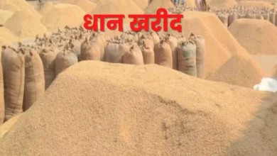 Photo of लखीमपुर खीरी : एक अक्टूबर से शुरू होगी जिले में धान खरीद