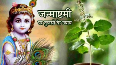 Photo of Janmashtami Par Kare Tulsi Ke Upay : श्रीकृष्ण जन्माष्टमी के दिन करें उपाय, हर मनोकामना होगी पूरी