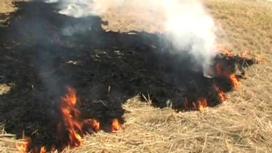 Photo of सीतापुर : फसलों के अवशेष जलाए जाने को लेकर सतर्क हुआ कृषि विभाग