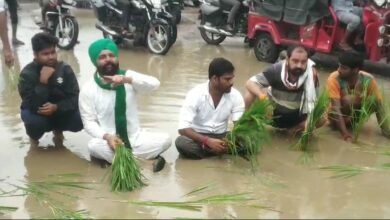 Photo of सीतापुर : तीन साल से हो रहा जलभराव, नाराज किसानों ने सड़क पर लगाए धान