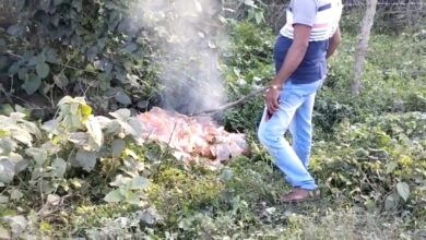 Photo of लखीमपुर खीरी : पोषाहार के खाली पैकेट जलाये जाने का वीडियो वायरल, जिम्मेदार बोले होगी कार्यवाही 