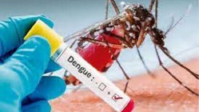 Photo of झारखंड में डेंगू के 302 संदिग्ध मरीज मिले, 30 में पुष्टि, पढ़ें पूरी खबर