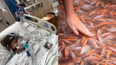 Photo of मछली खाना पड़ा भारी, इस वजह से कोमा में चली गई म‎हिला, पढ़ें पूरी खबर