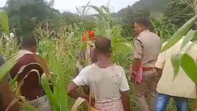 Photo of सीतापुर : संदिग्ध परिस्थितियों में खेत में मिला युवक का शव, जांच में जुटी पुलिस