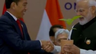 Photo of जी-20ः इंडोनेशिया और ब्राजील के राष्ट्रपति ने प्रधानमंत्री मोदी को भेंट किया पौधा