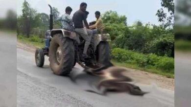 Photo of लखीमपुर : बेजुबां के साथ क्रूरता, ट्रैक्टर से गाय बांध कर खींचते हुए वीडियो वायरल