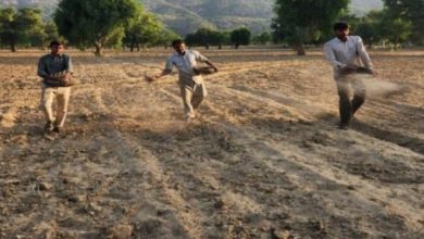 Photo of फतेहपुर : असल किसानो को नहीं मिल पाता अनुदान और  योजनाओ का लाभ