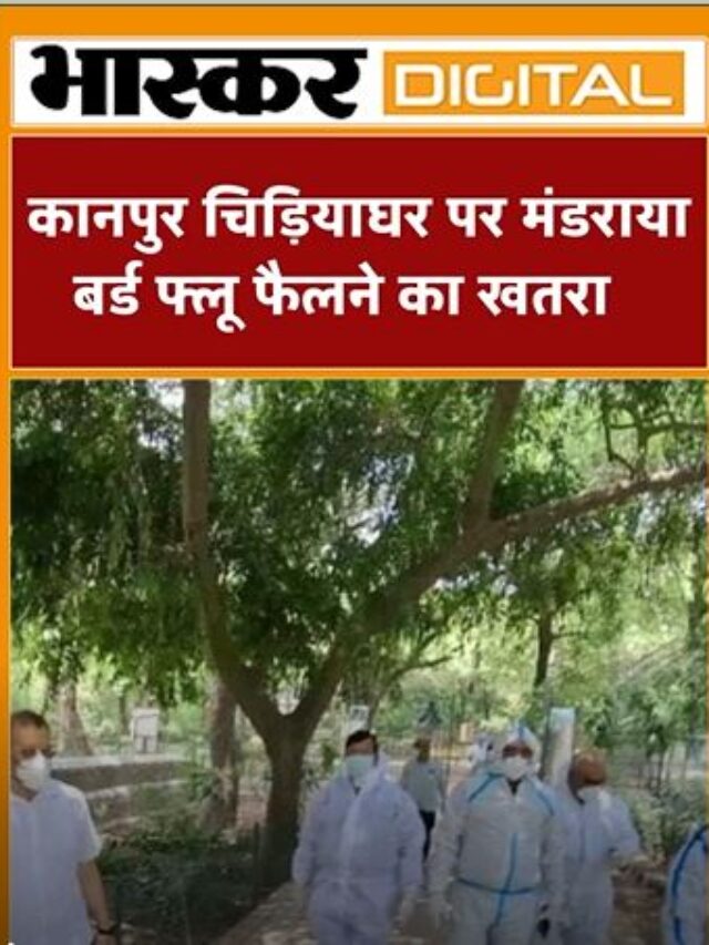 कानपुर चिड़ियाघर पर मंडराया बर्ड फ्लू फैलने का खतरा